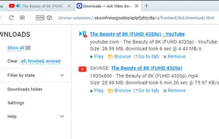 Ant Video Downloader screenshot 1