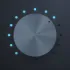 Evie for your Tesla icon
