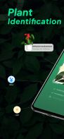 LeafSnap Plant Identification screenshot 1