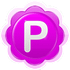 Pamela for Skype icon