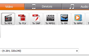 A multitude of formats for video, specific devices, and audio ripping.