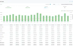 Visual profit and sales timeline helping eCommerce teams understand growth patterns and campaign results