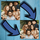 Group Face Swap icon