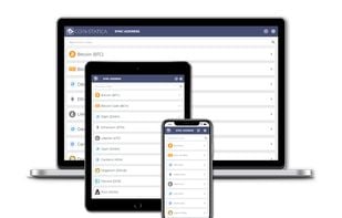 Coin-Statica screenshot 2