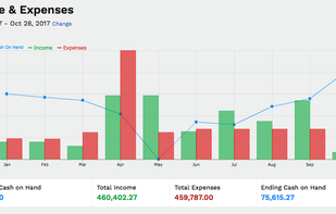 The Income & Expenses Report takes that information and gives you the blue Pulseline© that illustrates how much and when cash is flowing in and out of your business. 