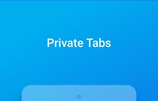 Keepsafe Browser screenshot 2