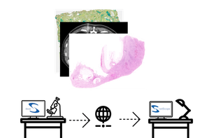 Schematic of netScope Desk usage.