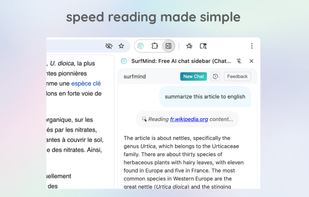 surfmind screenshot 1