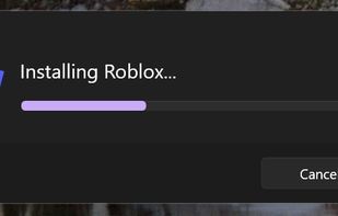 Loading Window