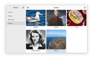 Fotema screenshot 1