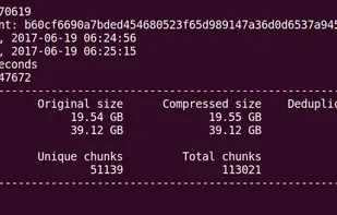 BorgBackup screenshot 1
