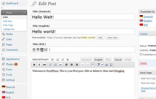 qTranslate screenshot 1