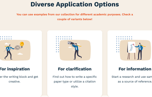 EssaysInCollege screenshot 3