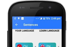 multilingual sentence translation screen