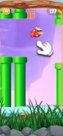 Tap Flap Bird Game