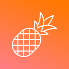 Pineapple Builder icon