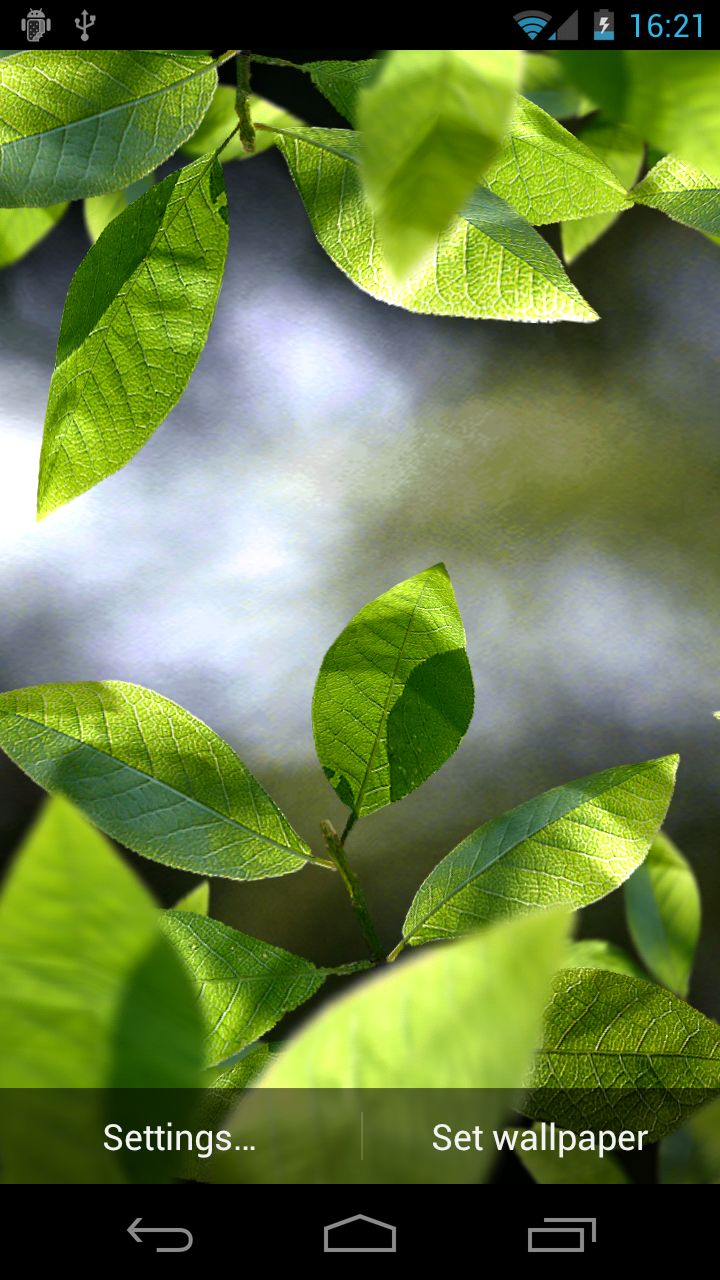 Fresh Leaves Alternatives Top 5 Wallpapers Hubs & Similar Apps