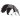 An Anteater's Adventure icon
