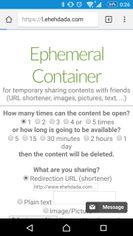 Ephemeral Container screenshot 1