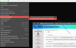 Asbru Connection Manager screenshot 2