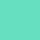 Random Color icon