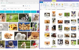 Download All Images screenshot 1