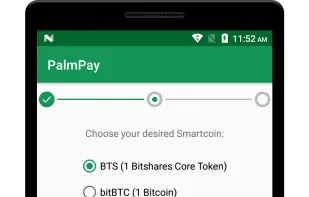 PalmPay screenshot 2