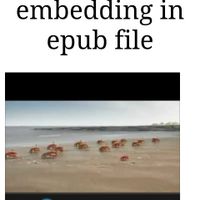 playing video in epub file