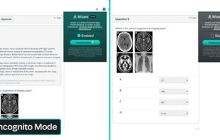 CanvasWizard.co screenshot 2