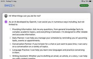 Swizz AI screenshot 2