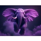 Dumbo icon