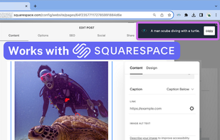 AltText.ai screenshot 2