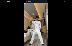 VeilVid screenshot 1