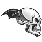 A7X Flap icon