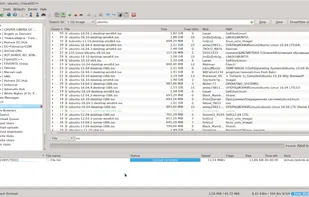EiskaltDC++ screenshot 1