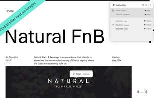 Fonts Ninja screenshot 2