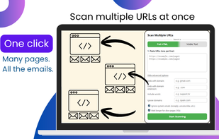 Use domain, keyword, or rule-based filters to refine results.
