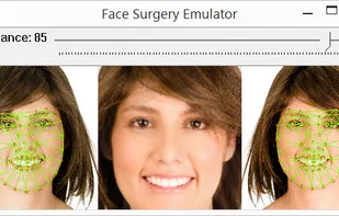 Face Surgery Emulator screenshot 1