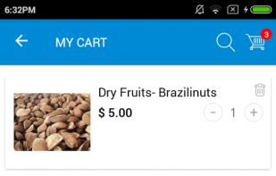 Elite Grocery App - Checkout Page