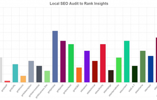 DigitalBull Go - Free Local SEO Audit Tool screenshot 2