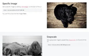 Lorem Picsum screenshot 1