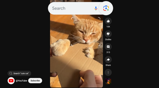 Google Lens now lets users search and translate elements seen in YouTube Shorts image
