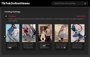 TikTok Online Viewer screenshot 1