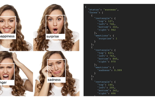 Luxand.Cloud screenshot 2