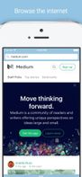 Lion Browser screenshot 1