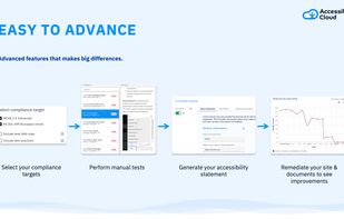 Accessibility Cloud screenshot 1