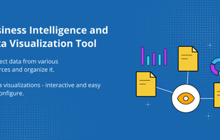 How Data are visualized in Bold Reports