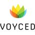 Voyced icon