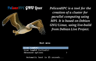 PelicanHPC screenshot 1