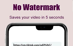 TikTok Video Downloader screenshot 2